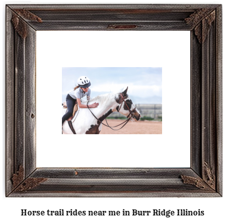 horse trail rides near me in Burr Ridge, Illinois